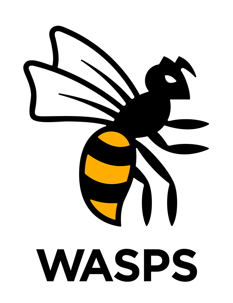 Logo for the London Wasps