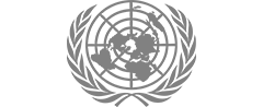 UN Logo